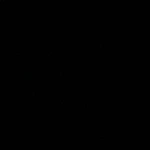 Meet your Posher, Nina